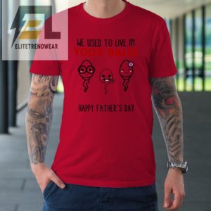 We Used To Live In Your Balls Happy Fathers Day Funny Tshirt elitetrendwear 1 5