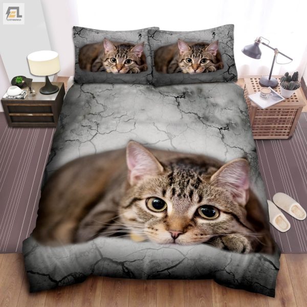 Funny Feline Duvet Sets Comfy Catthemed Bedding Bliss elitetrendwear 1