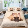 Cozy Up Hilarious 3D Pug Lying Duvet Cover Bedding Set elitetrendwear 1